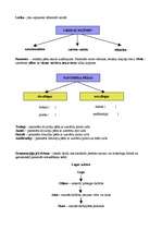 Konspekts 'Literatūras veidi un žanri', 2.