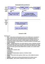 Konspekts 'Literatūras veidi un žanri', 3.