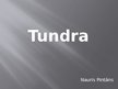 Prezentācija 'Tundra', 1.