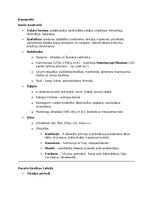 Konspekts 'Senie Austrumi ar uzdevumiem', 1.