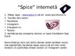 Prezentācija 'TC "Spice" mārketinga stratēģija', 4.