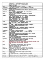 Konspekts 'Glossary', 17.