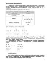 Konspekts 'Spirti', 2.