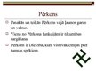 Prezentācija 'Kas irgaisma? Skatījums no folkloras viedokļa', 8.