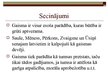 Prezentācija 'Kas irgaisma? Skatījums no folkloras viedokļa', 12.