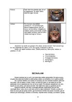 Referāts 'Grieķu māksla un arhitektūra', 14.