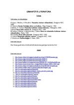 Referāts 'Grieķu māksla un arhitektūra', 17.