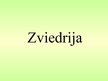 Prezentācija 'Zviedrija', 1.