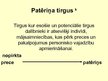 Prezentācija 'Tirgus veidi, ietekmējošie faktori. Mārketinga koncepcijas', 3.