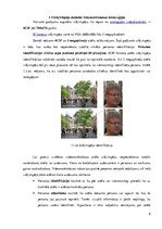 Referāts 'Videonovērošana Rīgas pašvaldības policijā', 6.