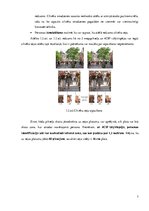 Referāts 'Videonovērošana Rīgas pašvaldības policijā', 7.