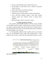 Referāts 'Videonovērošana Rīgas pašvaldības policijā', 19.