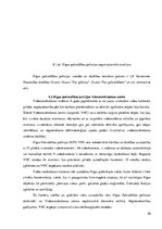 Referāts 'Videonovērošana Rīgas pašvaldības policijā', 20.