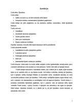 Referāts 'Špikošana', 2.