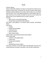 Referāts 'Špikošana', 3.