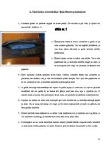 Referāts 'Špikošana', 12.