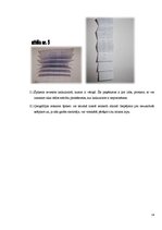 Referāts 'Špikošana', 14.