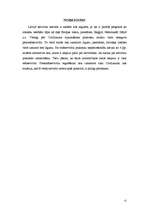 Referāts 'Servitūta institūts. Privāttiesības', 13.