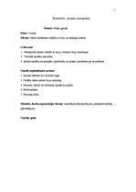 Konspekts 'Rokdarbu stundas konspekts', 1.