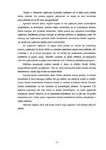 Diplomdarbs 'SIA "X" finanšu pārvaldības pilnveidošanas stratēģijas aspekti', 19.