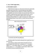 Diplomdarbs 'SIA "X" finanšu pārvaldības pilnveidošanas stratēģijas aspekti', 20.