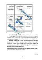 Diplomdarbs 'SIA "X" finanšu pārvaldības pilnveidošanas stratēģijas aspekti', 45.