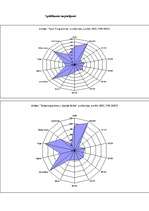 Diplomdarbs 'SIA "X" finanšu pārvaldības pilnveidošanas stratēģijas aspekti', 81.