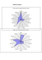 Diplomdarbs 'SIA "X" finanšu pārvaldības pilnveidošanas stratēģijas aspekti', 82.