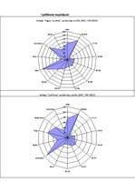 Diplomdarbs 'SIA "X" finanšu pārvaldības pilnveidošanas stratēģijas aspekti', 84.