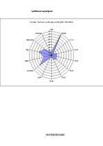 Diplomdarbs 'SIA "X" finanšu pārvaldības pilnveidošanas stratēģijas aspekti', 85.