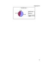 Referāts 'Nagi', 16.