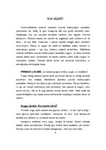 Referāts 'Balkonpuķes', 4.