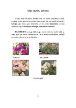 Referāts 'Balkonpuķes', 6.