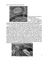 Prezentācija 'Latvijas aerofotogrāfēšanas vēsture un materiāli līdz 1960.gadam', 2.