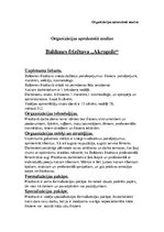 Paraugs 'Organizācijas aprakstošā analīze. Baldones frizētava "Akropole"', 1.