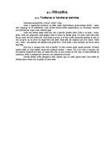 Referāts 'Lauksaimniecības atskaites', 16.