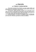 Referāts 'Lauksaimniecības atskaites', 17.