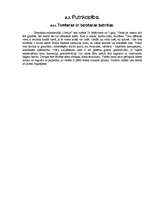 Referāts 'Lauksaimniecības atskaites', 18.