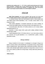 Referāts 'Lauksaimniecības atskaites', 32.