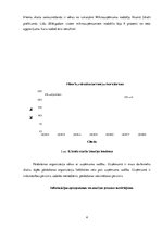 Prakses atskaite 'Prakses atskaite ķīmiskās tīrīšanas uzņēmumā', 4.