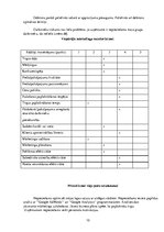 Prakses atskaite 'Prakses atskaite ķīmiskās tīrīšanas uzņēmumā', 10.