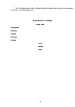 Prakses atskaite 'Prakses atskaite ķīmiskās tīrīšanas uzņēmumā', 12.