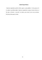 Prakses atskaite 'Prakses atskaite ķīmiskās tīrīšanas uzņēmumā', 18.