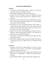 Prakses atskaite 'Prakses atskaite ķīmiskās tīrīšanas uzņēmumā', 19.