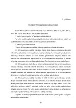 Prakses atskaite 'Prakses atskaite ķīmiskās tīrīšanas uzņēmumā', 22.