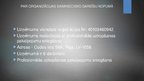 Prakses atskaite 'Prakses atskaite ķīmiskās tīrīšanas uzņēmumā', 33.