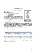 Paraugs 'Datorizētā projektēšana', 10.