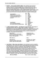 Konspekts 'Komunikācija kultūratšķirību kontekstā', 4.