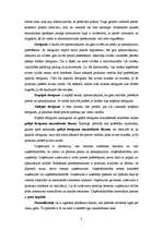 Konspekts 'Patērētāju rīcība tirgū un galējais derīgums', 3.