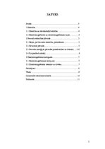 Referāts 'Bezvadu elektrības pārvade', 2.